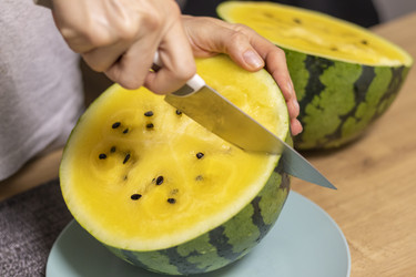 Similar image 22211020