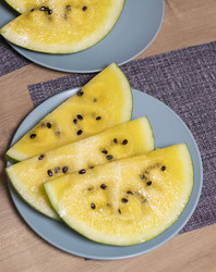 Similar image 22211009