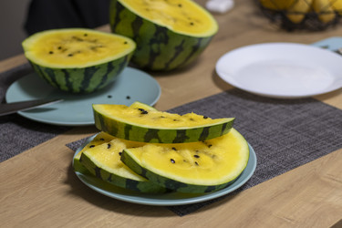 Similar image 22211010