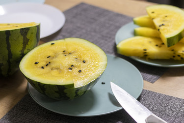 Similar image 22211012