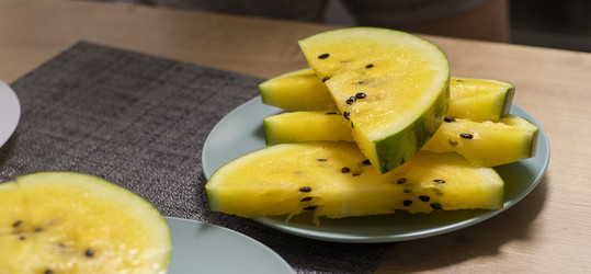 Similar image 22211013