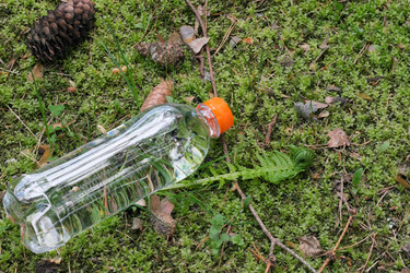 Similar image 22229922