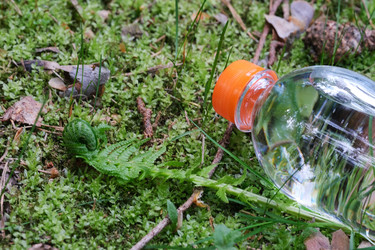 Similar image 22229923