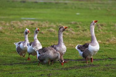 Similar image 22226725