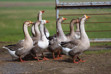 Similar image 22226285