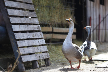 Similar image 22226286