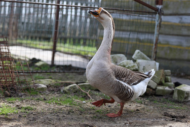 Similar image 22226287