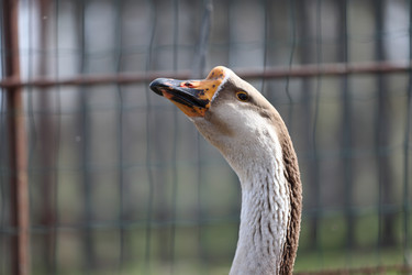 Similar image 22226288