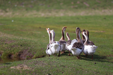 Similar image 22226290