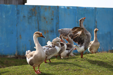 Similar image 22226291