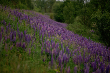 Similar image 22226304