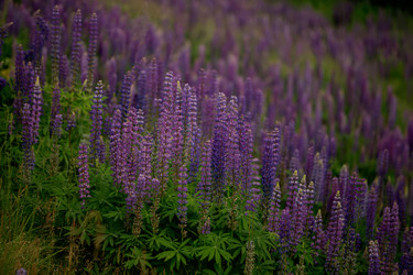 Similar image 22226305