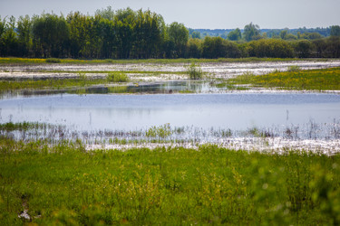 Similar image 22226533