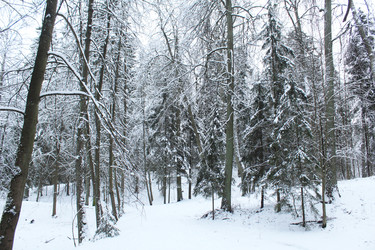 Similar image 22225787