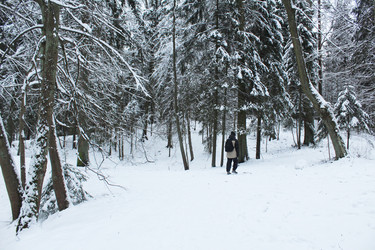 Similar image 22225788