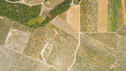 Similar image 22227906