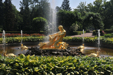 Similar image 22213383