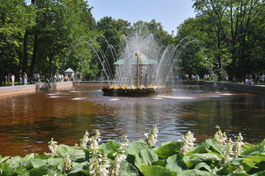 Similar image 22213389