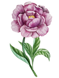 Similar image 22211317