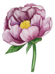 Similar image 22211318