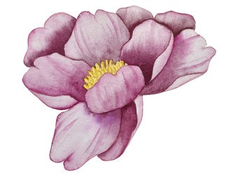 Similar image 22211319