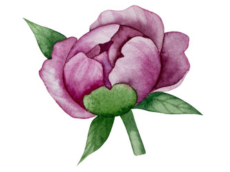 Similar image 22211321