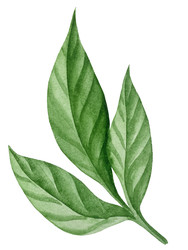 Similar image 22211323