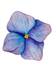 Similar image 22211383