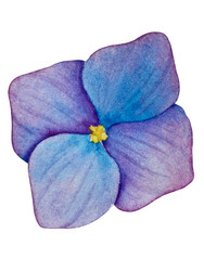 Similar image 22211384