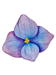 Similar image 22211386