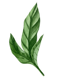 Similar image 22211387