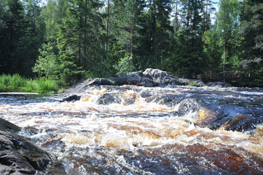 Similar image 22213399