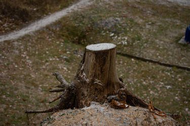 Similar image 22211213