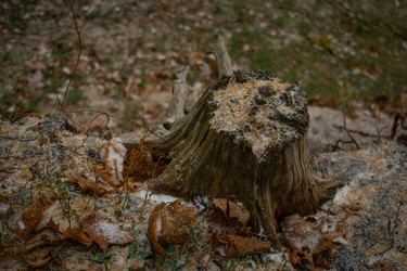 Similar image 22211214