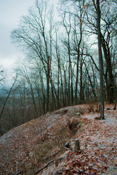 Similar image 22211215