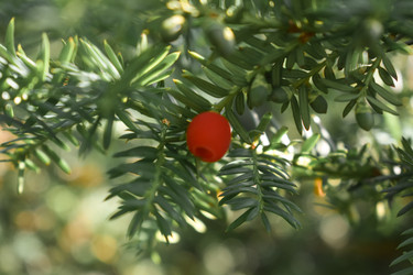 Similar image 22211219