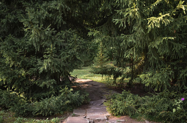 Similar image 22211221