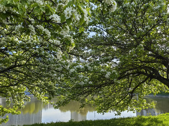 Similar image 22211411