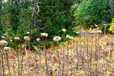 Similar image 22213418