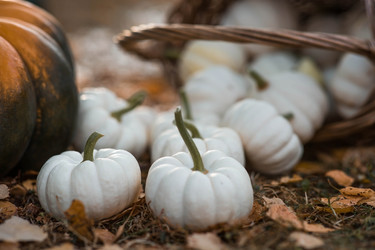 Similar image 22211329