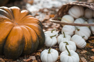 Similar image 22211330