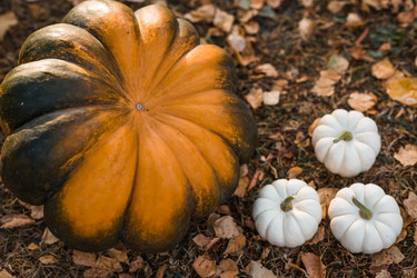 Similar image 22211331