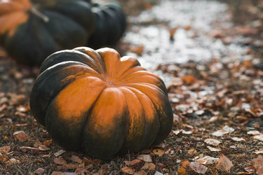 Similar image 22211332