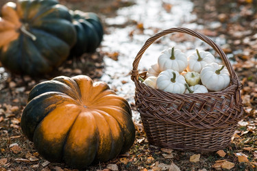 Similar image 22211333