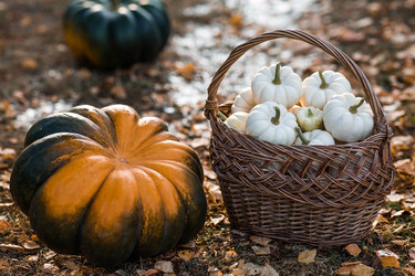 Similar image 22211334