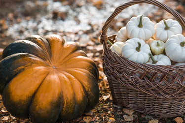 Similar image 22211335