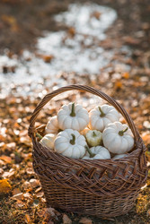 Similar image 22211337