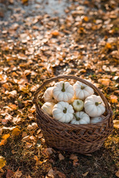 Similar image 22211338