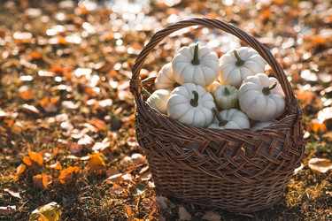 Similar image 22211339