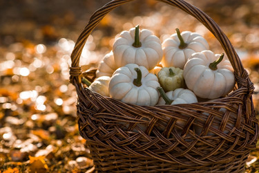 Similar image 22211340